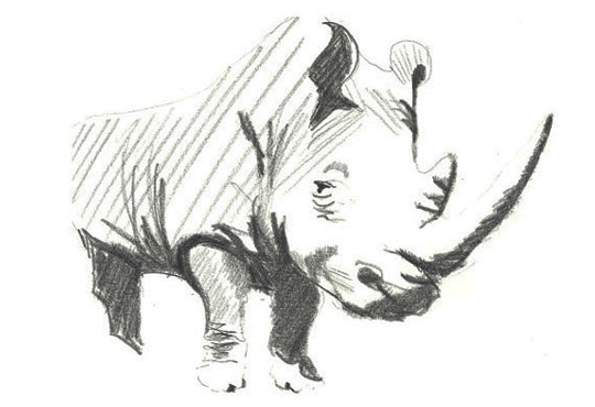 Big-rhino